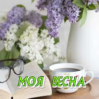 Сергей Грищук — Моя Весна — обложка